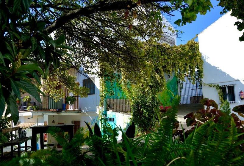 Albergue Rural De Algodonales   Hostel