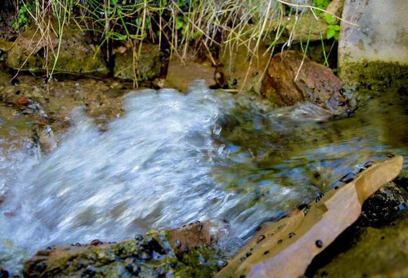 Albergue Rural De Algodonales   Hostel