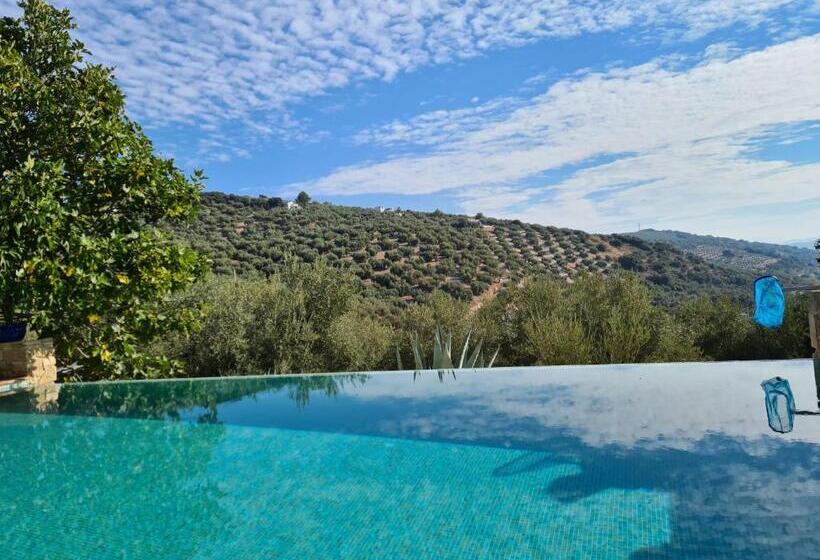 مبيت وإفطار Cortijo La Haza