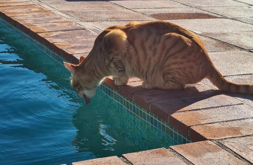 مبيت وإفطار Cortijo La Haza