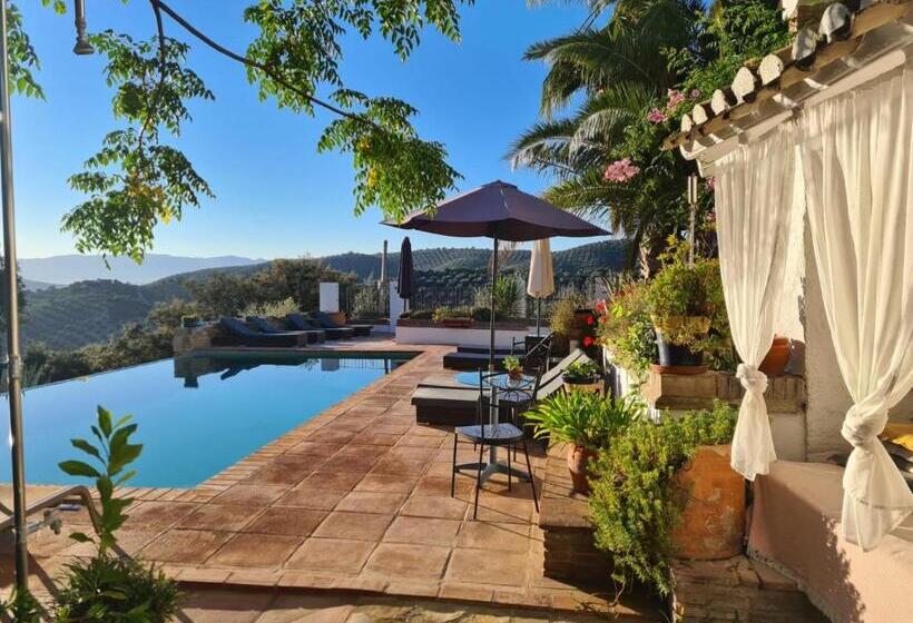 مبيت وإفطار Cortijo La Haza