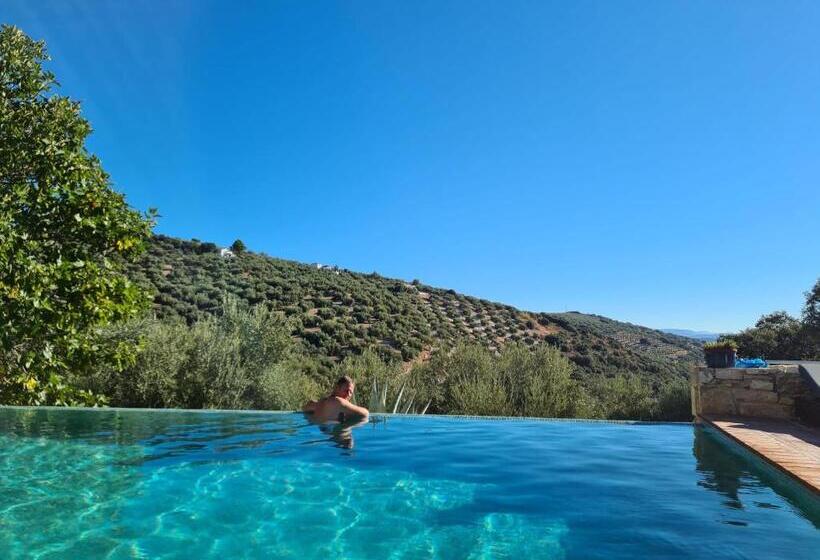 مبيت وإفطار Cortijo La Haza