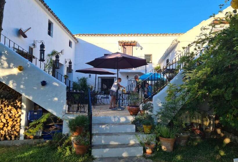 مبيت وإفطار Cortijo La Haza