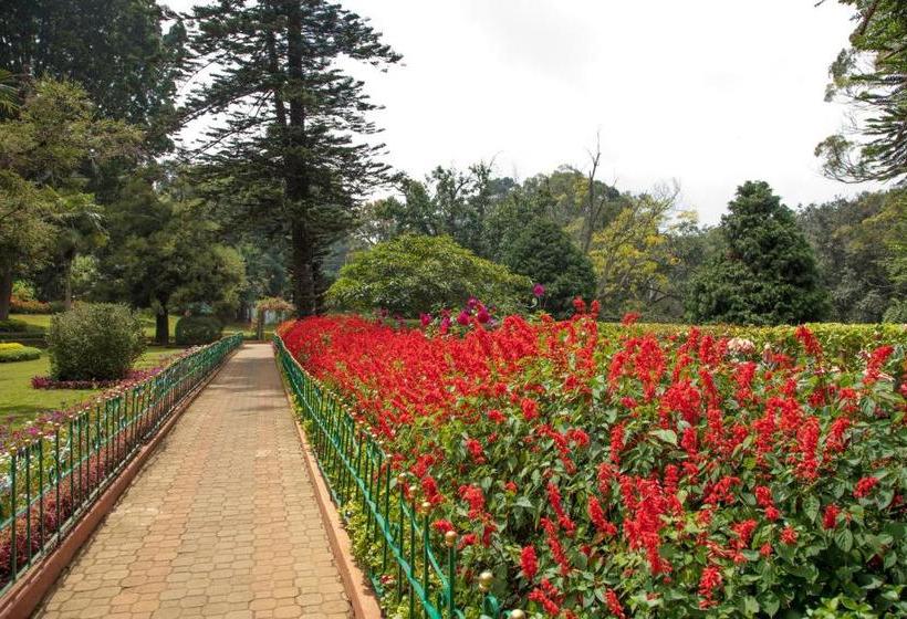 مبيت وإفطار Fairy Glen