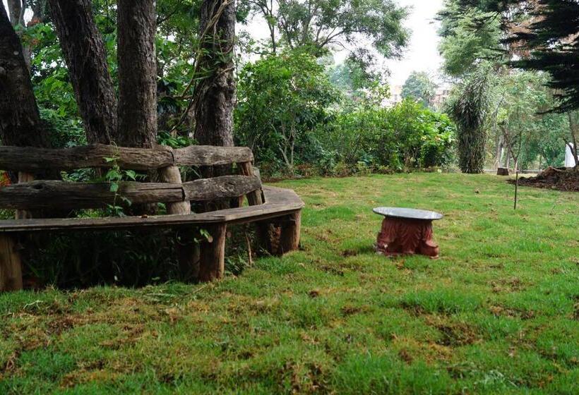 مبيت وإفطار Fairy Glen