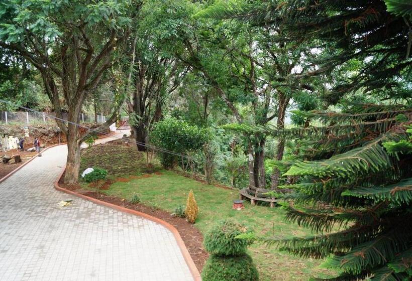 مبيت وإفطار Fairy Glen