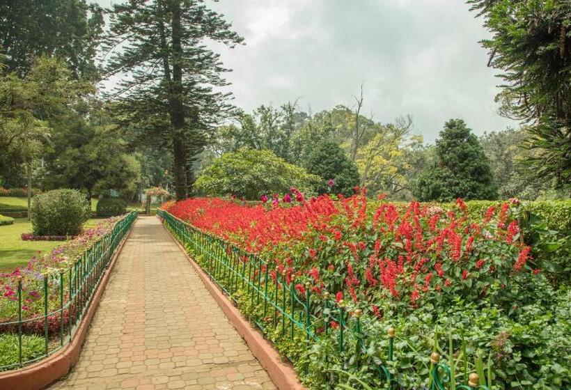 مبيت وإفطار Fairy Glen