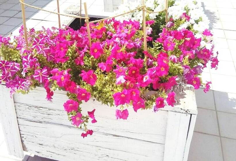 Bed and Breakfast Habitacions Sant Pere Claver