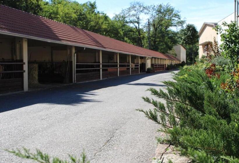 住宿加早餐  La Viscontina