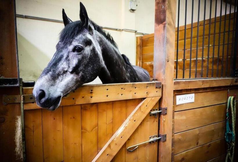 住宿加早餐  La Viscontina