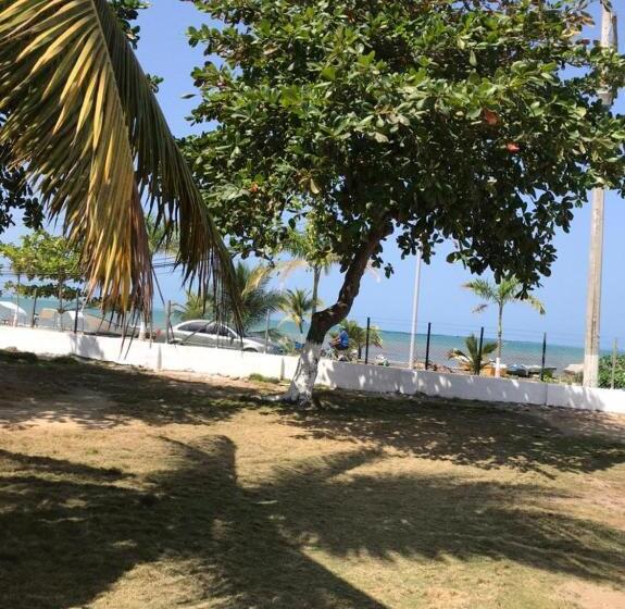 مبيت وإفطار Ortimar