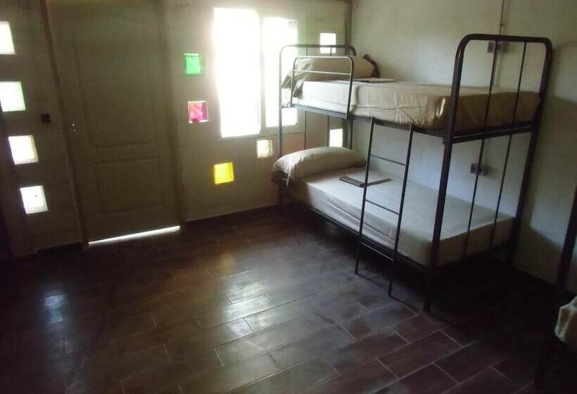 Hakuna Matata Hostel