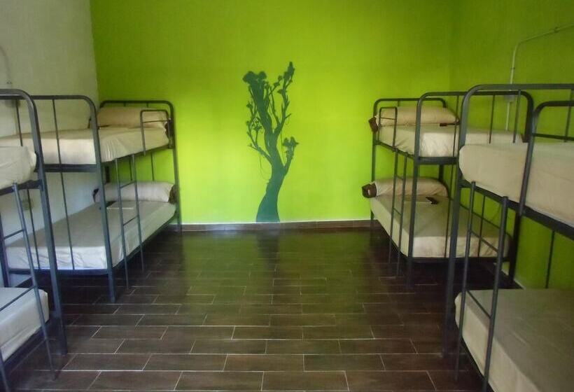 Hakuna Matata Hostel