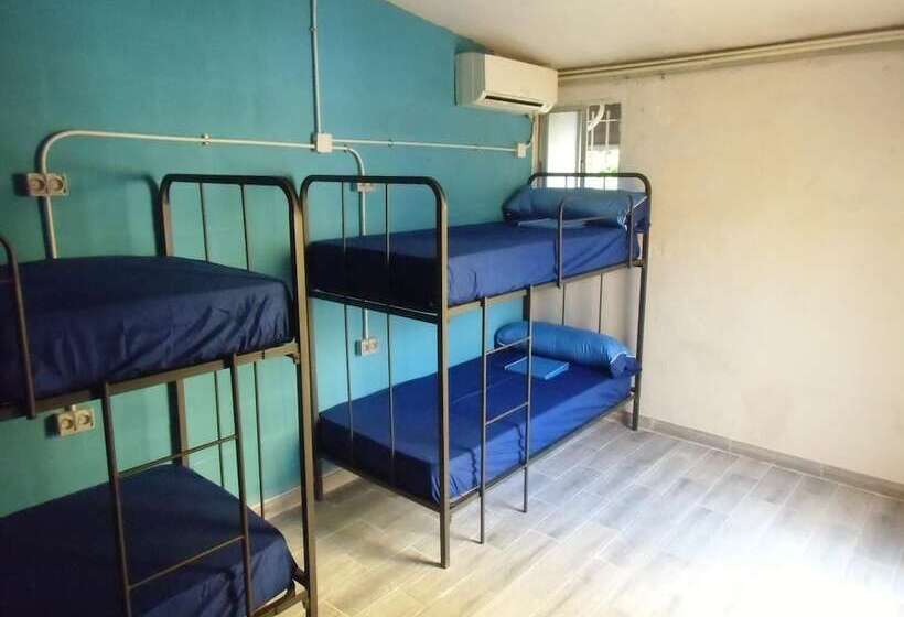 Hakuna Matata Hostel