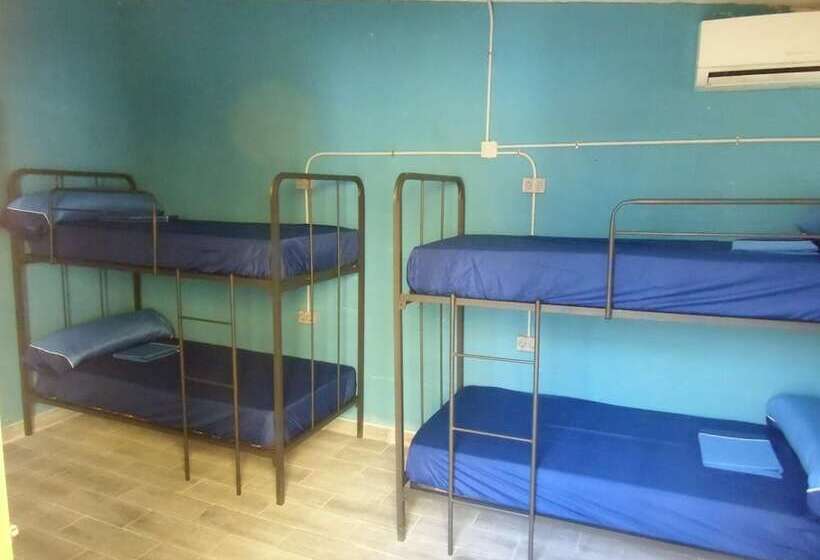 Hakuna Matata Hostel