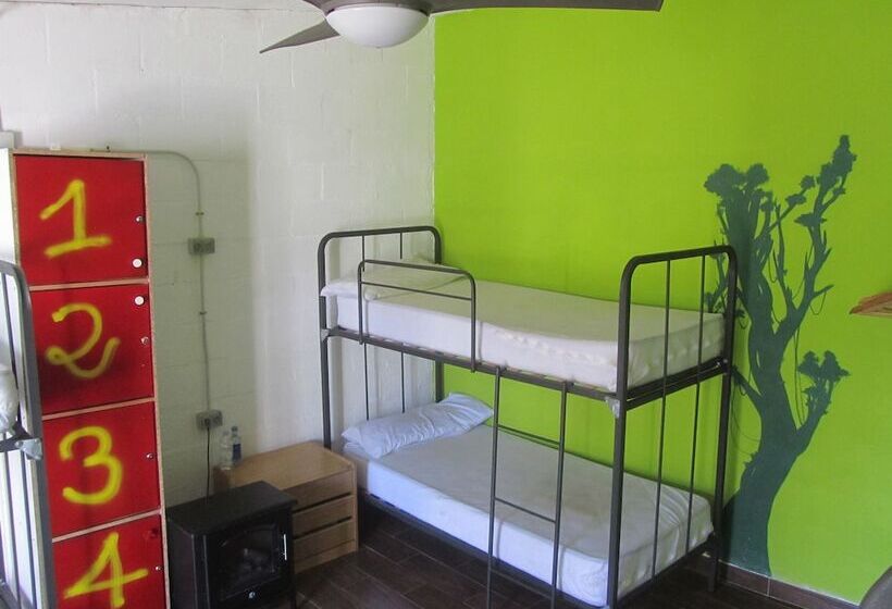 Hakuna Matata Hostel