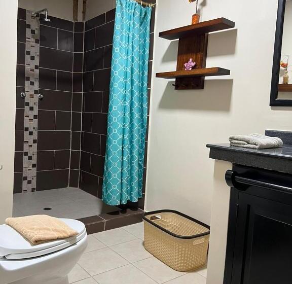 فندق Berlín International