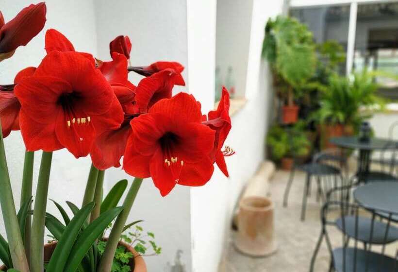 فندق Ca Les Senyoretes