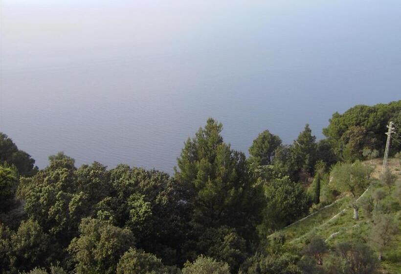 ホテル Bordoy Continental Valldemossa