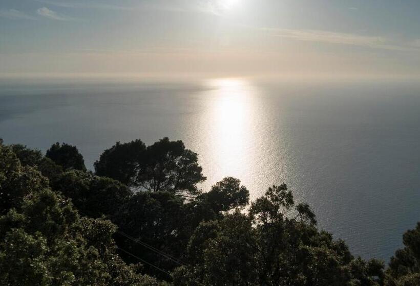 ホテル Bordoy Continental Valldemossa