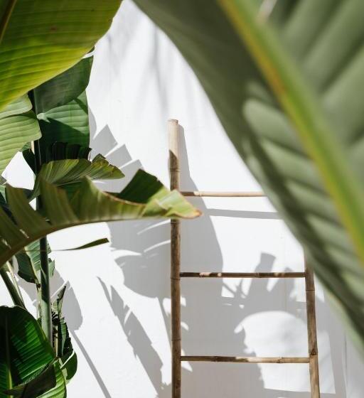 La Bohemia Del Rio Boutique Hotel Adults Only