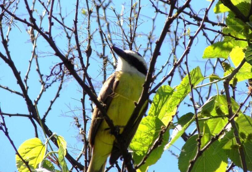 فندق La Cautiva De Ramirez