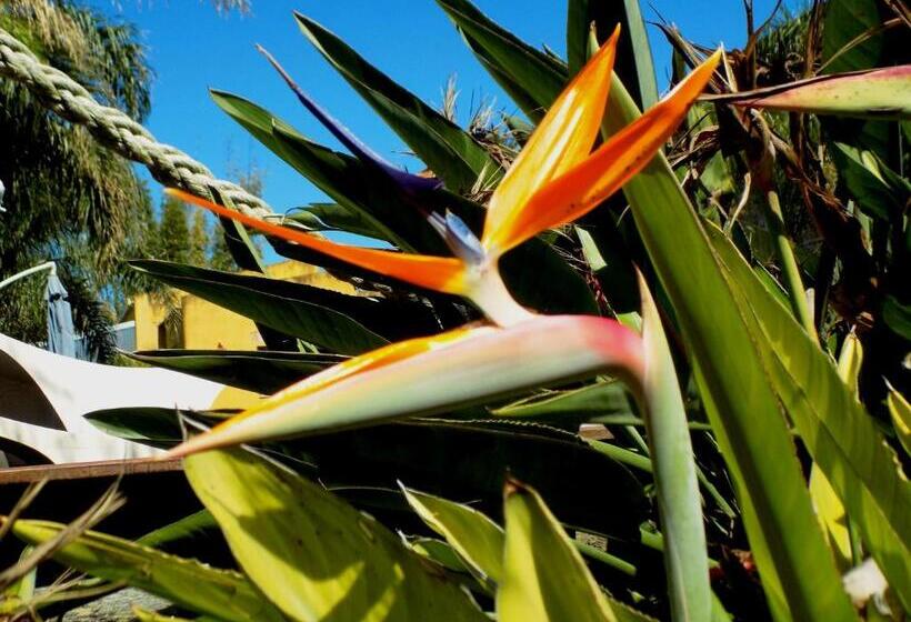 فندق La Cautiva De Ramirez