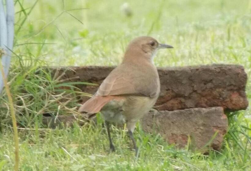فندق La Cautiva De Ramirez