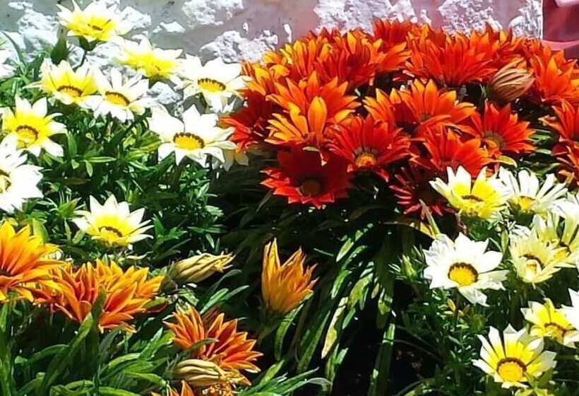 فندق Las Terrazas