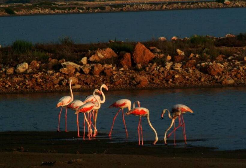 호텔 Mediterrani Blau