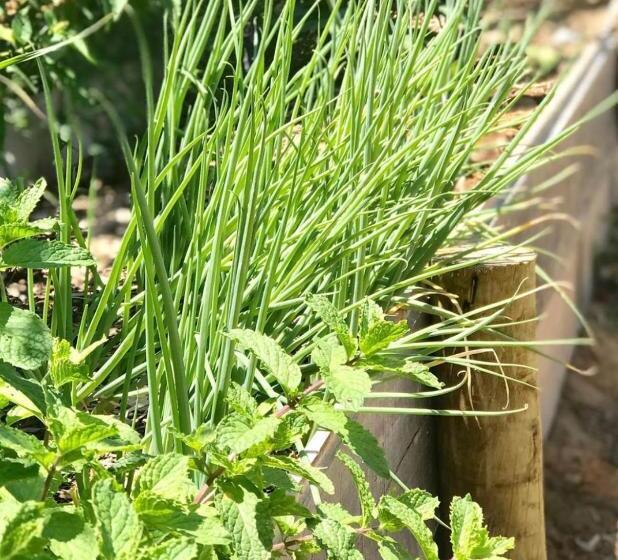 فندق Pousada Pais Tropical