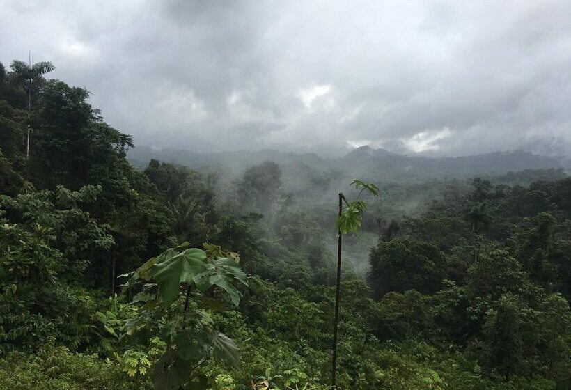 酒店 Rainforest Yasmin