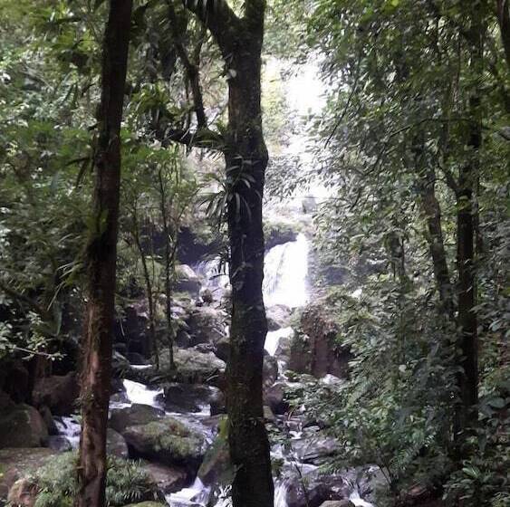 酒店 Rainforest Yasmin