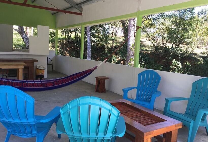 酒店 Rainforest Yasmin