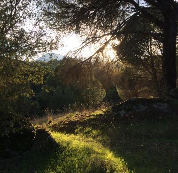 בית מלון כפרי Rural El Arca De Noé