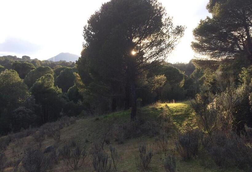 בית מלון כפרי Rural El Arca De Noé