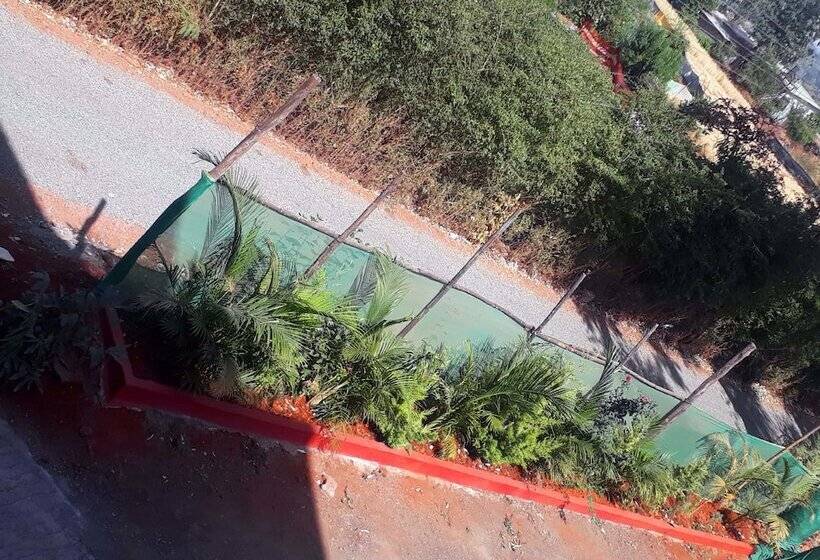 Отель Strawberry Homes