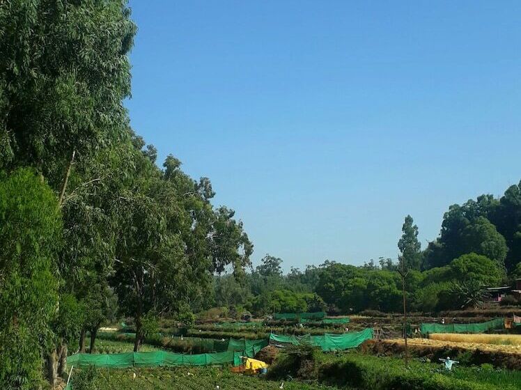 Отель Strawberry Homes