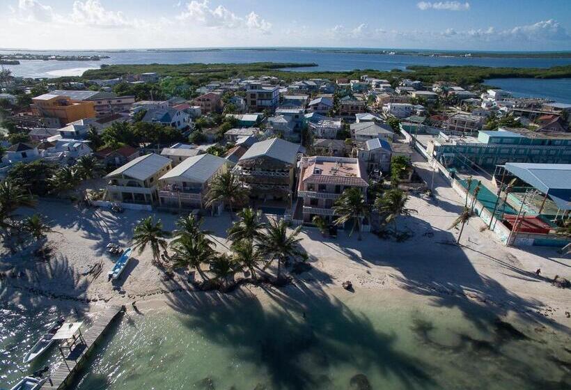 فندق The Palapa House