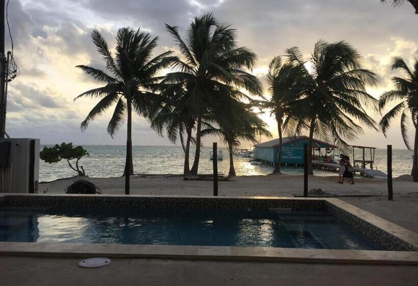 فندق The Palapa House