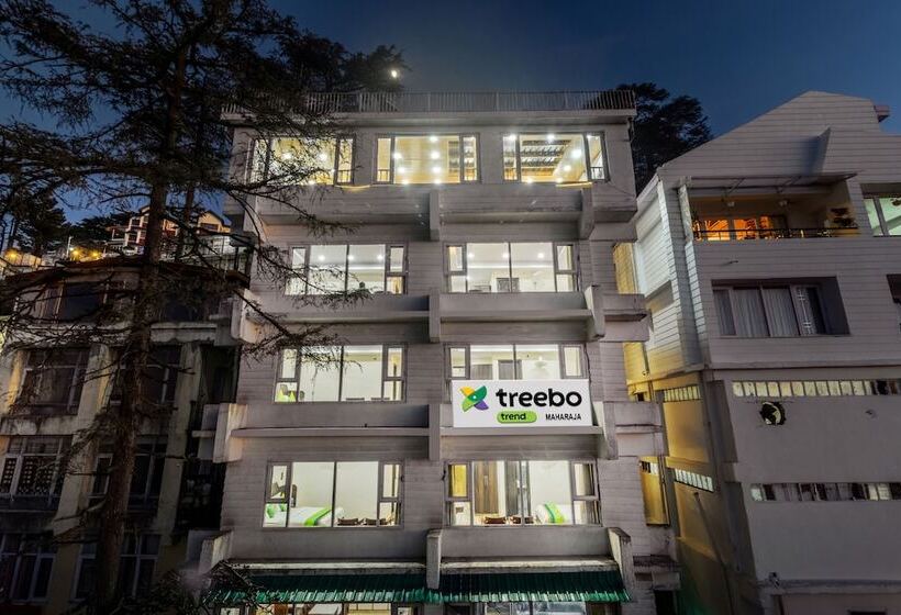 酒店 Treebo Maharaja, Near Mall Road
