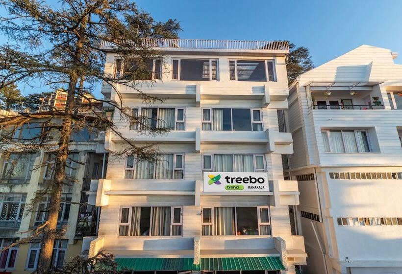 酒店 Treebo Maharaja, Near Mall Road