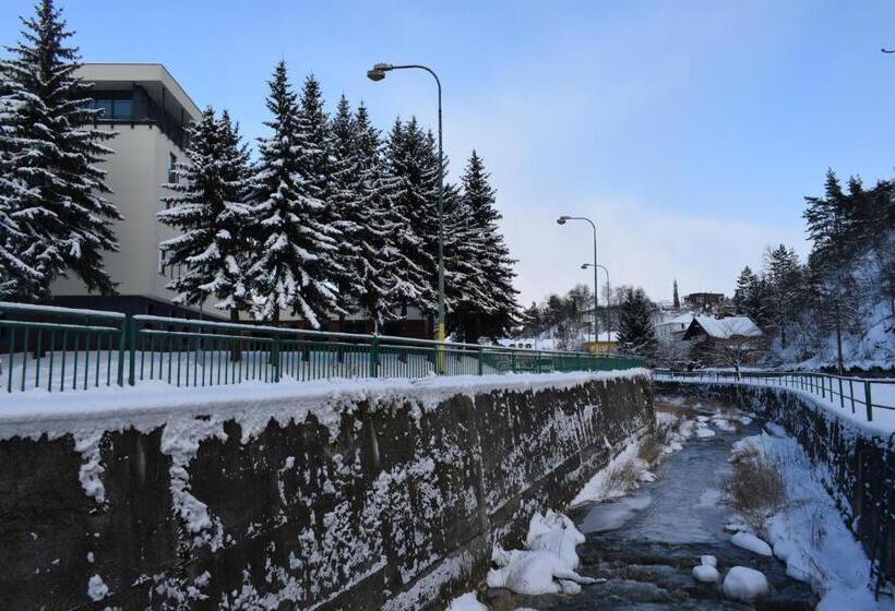 Parkhotel Carlsbad Inn