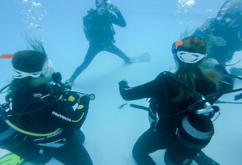 渡假胜地  Aldiana Club Fuerteventura