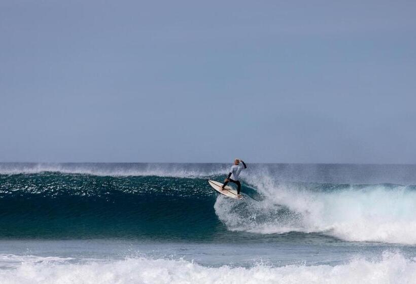 渡假胜地  Aldiana Club Fuerteventura