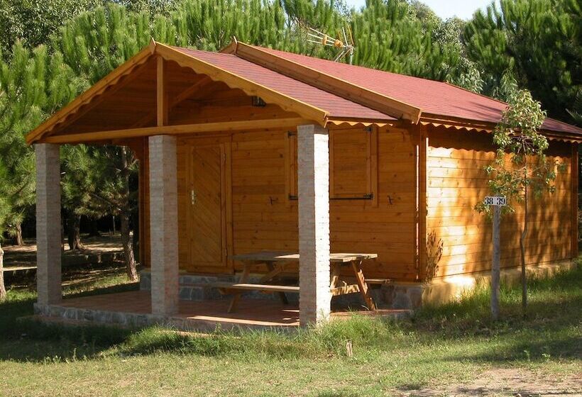 渡假胜地  Bungalows Y Glamping Medina Sidonia