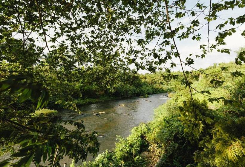 リゾートホテル Sterling Anaikatti