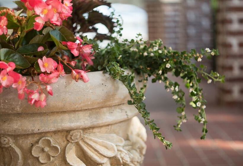 The Victoria Bed & Breakfast