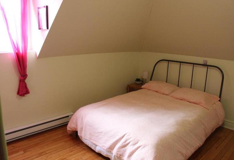 Auberge De Jeunesse Magog Orford Hostel