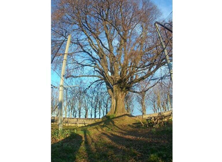 住宿加早餐  Al Bagolaro